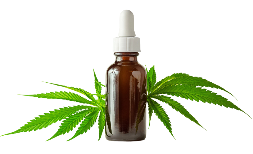 hemp extract for white dog shaker syndrome